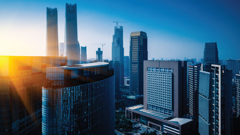 Corporate Listed Firms